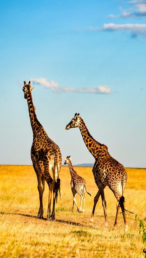 bibhash-polygon-cafe-banerjee-2n3tcXLZjxg-unsplash