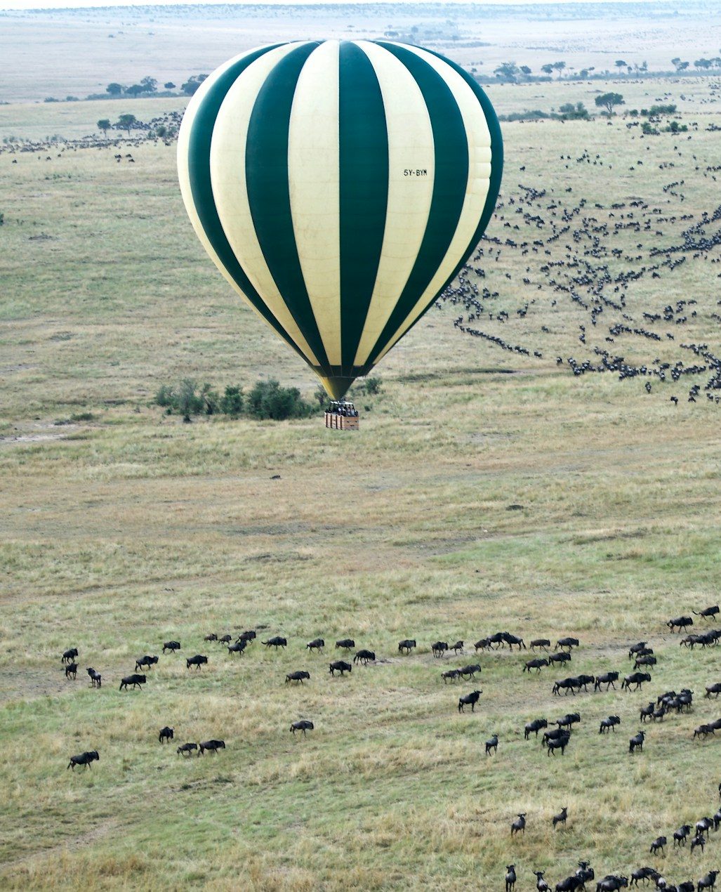 jason-hafso-8Sjcc4vExpg-unsplash