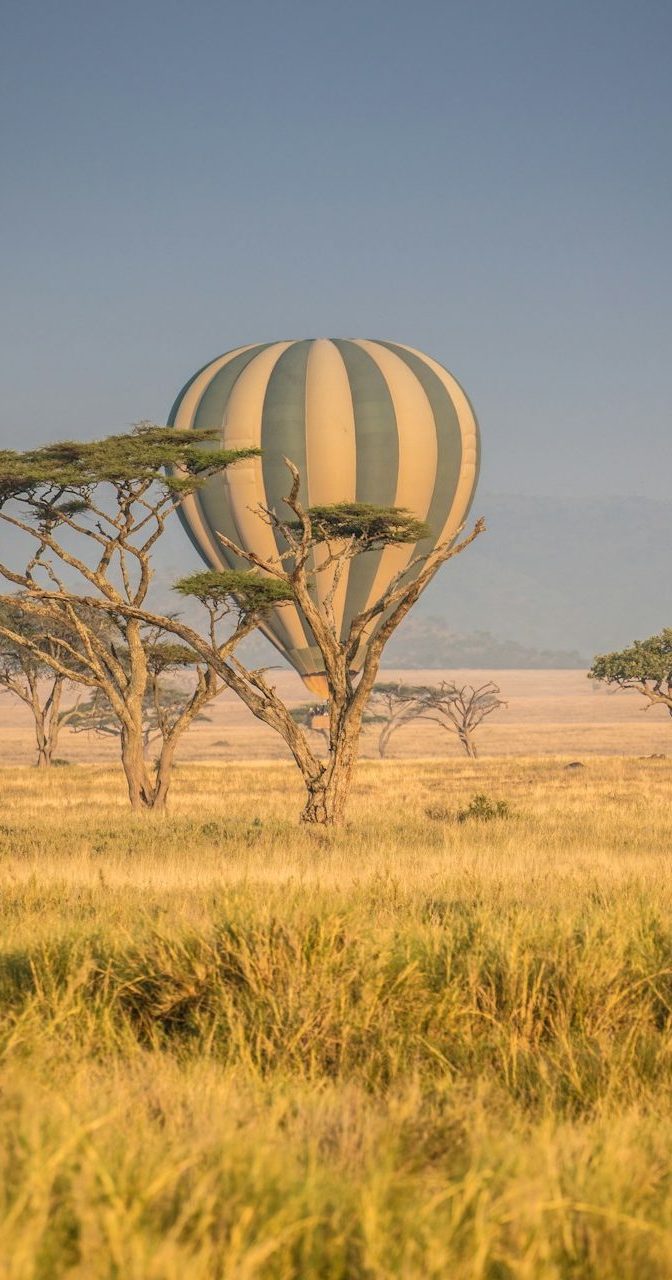 wolf-schram-6GXfFoBRSAw-unsplash